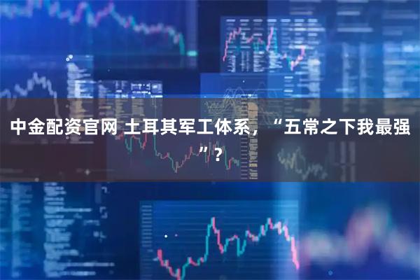 中金配资官网 土耳其军工体系，“五常之下我最强”？