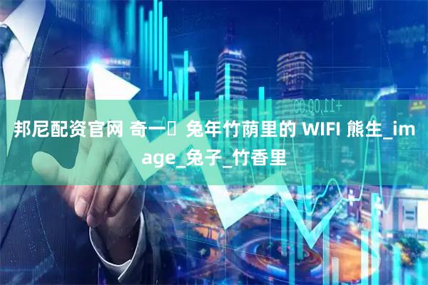 邦尼配资官网 奇一・兔年竹荫里的 WIFI 熊生_image_兔子_竹香里