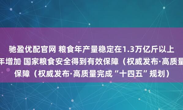 驰盈优配官网 粮食年产量稳定在1.3万亿斤以上，高标准粮仓仓容逐年增加 国家粮食安全得到有效保障（权威发布·高质量完成“十四五”规划）
